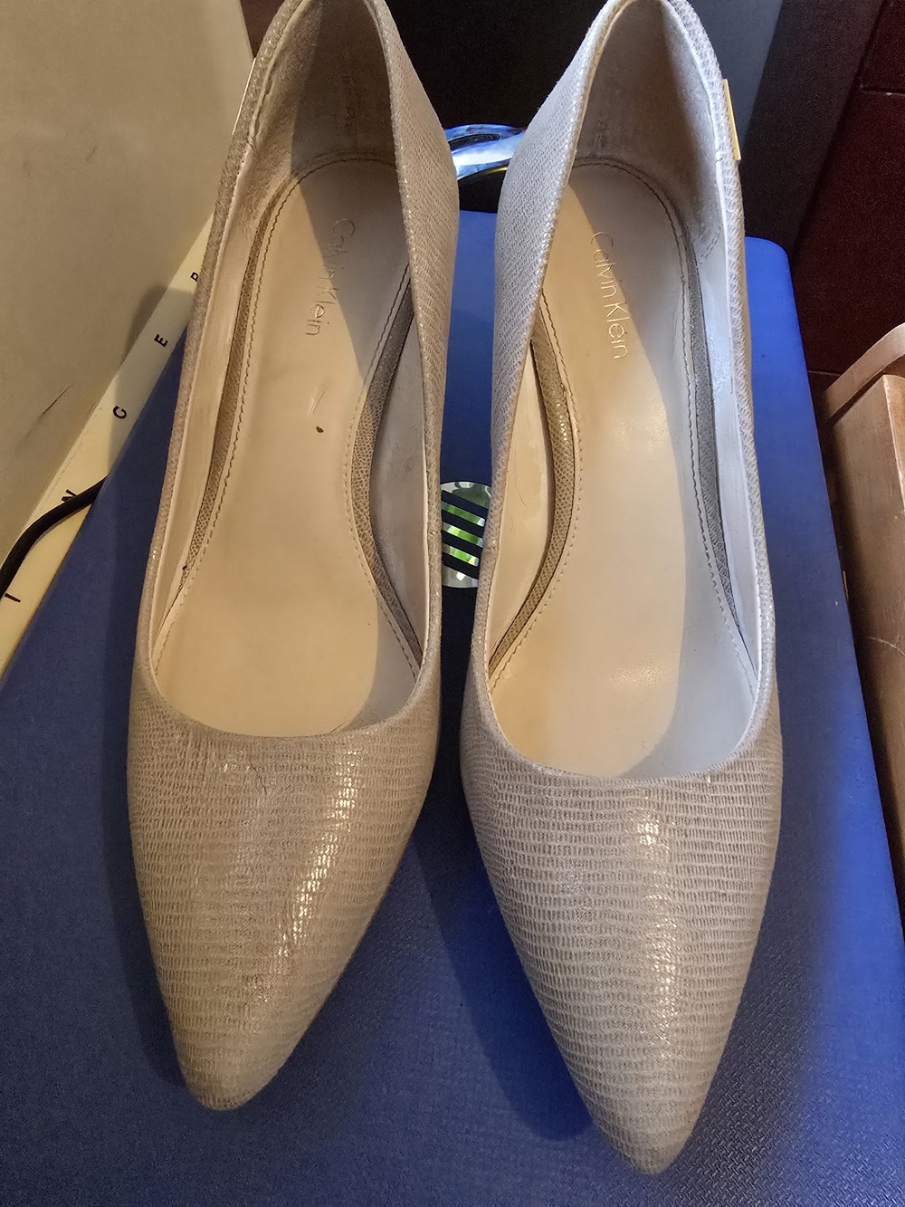 Calvin Klein Women's Pointed Toe Pumps in Light Taupe